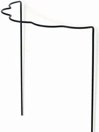 Peacock Plantensteun Geschulpt U Vorm Groen 35 X 40 Cm 3 Peacock Plantensteun Geschulpt U Vorm Groen 35 X 40 Cm