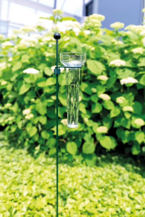 Peacock Regenmeter Met Stalen Ring Transparant 8,5 X 8,5 X 28 Cm 7 Peacock Regenmeter Met Stalen Ring Transparant 8,5 X 8,5 X 28 Cm -Tuinplanten Winkel 0702633106950 3