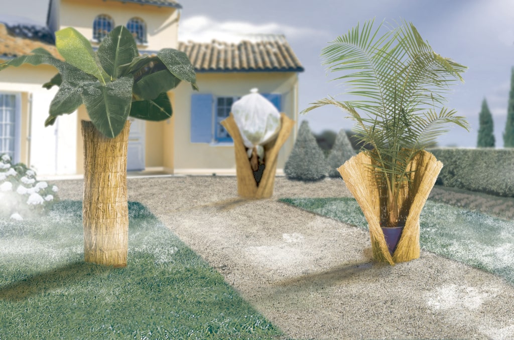 Tuinplanten Winkel -Tuinplanten Winkel 110040A min