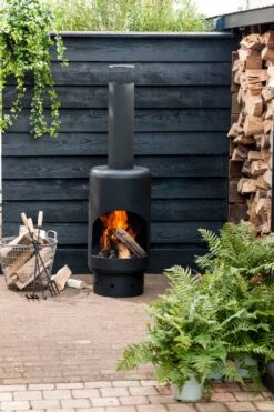 Intratuin Tuinhaard Zwart D 48 H 155 Cm -Tuinplanten Winkel 2011999398069 3