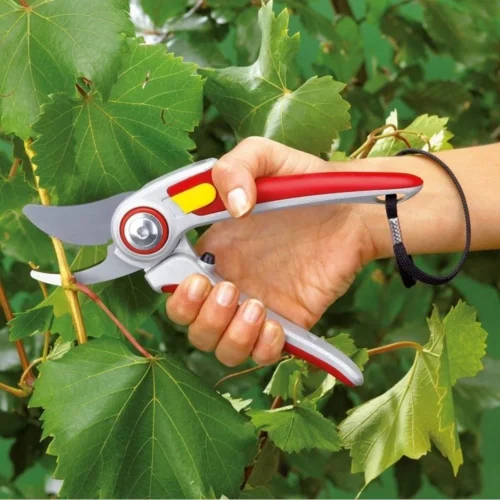 WOLF-Garten Snoeischaar Alu Prof RR5000 6 WOLF-Garten Snoeischaar Alu Prof RR5000 -Tuinplanten Winkel 4009269726375 2