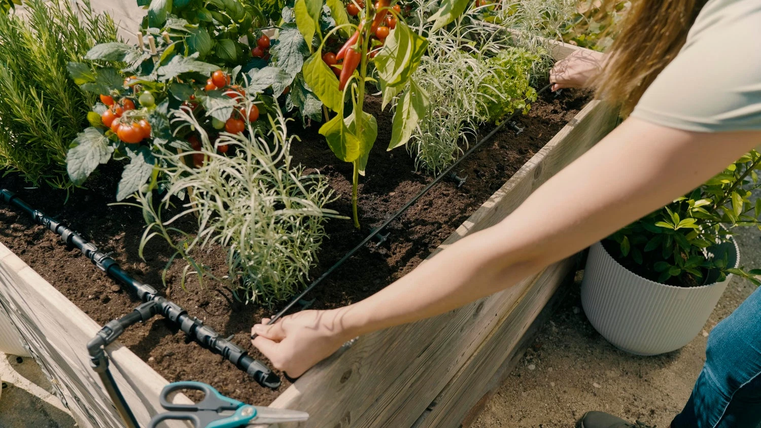 Gardena Micro Drip Systeem Druppelaar Startset Verhoogde Bloembedden En Moestuinen 35 Planten 9 Gardena Micro Drip Systeem Druppelaar Startset Verhoogde Bloembedden En Moestuinen 35 Planten - Afbeelding 7