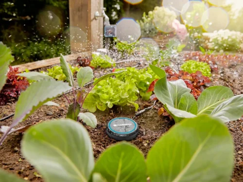 Gardena Bodemvochtigheidssensor Zwart D 7 H 14 Cm 23 Gardena Bodemvochtigheidssensor Zwart D 7 H 14 Cm -Tuinplanten Winkel 4078500045575 10