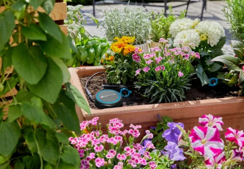 Gardena Bodemvochtigheidssensor Zwart D 7 H 14 Cm 24 Gardena Bodemvochtigheidssensor Zwart D 7 H 14 Cm -Tuinplanten Winkel 4078500045575 11