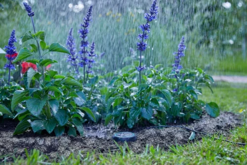 Gardena Bodemvochtigheidssensor Zwart D 7 H 14 Cm 25 Gardena Bodemvochtigheidssensor Zwart D 7 H 14 Cm -Tuinplanten Winkel 4078500045575 12