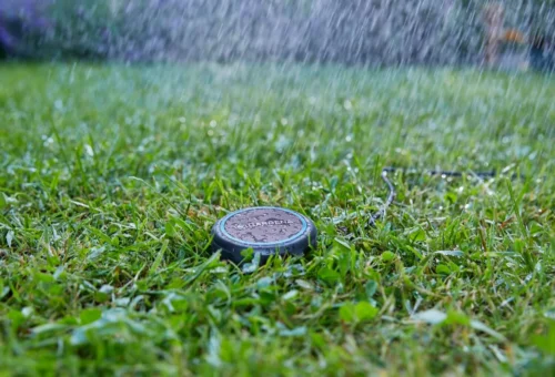 Gardena Bodemvochtigheidssensor Zwart D 7 H 14 Cm 26 Gardena Bodemvochtigheidssensor Zwart D 7 H 14 Cm -Tuinplanten Winkel 4078500045575 13