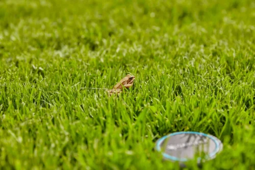 Gardena Bodemvochtigheidssensor Zwart D 7 H 14 Cm 27 Gardena Bodemvochtigheidssensor Zwart D 7 H 14 Cm -Tuinplanten Winkel 4078500045575 14