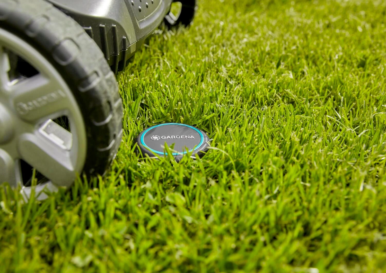 Gardena Bodemvochtigheidssensor Zwart D 7 H 14 Cm 9 Gardena Bodemvochtigheidssensor Zwart D 7 H 14 Cm - Afbeelding 7