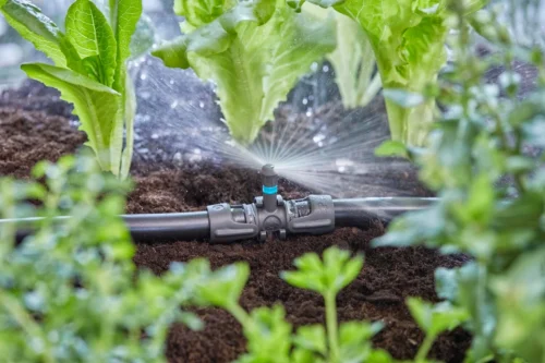 Gardena Micro Drip Systeem T-stuk Voor Sproeiers 13 Mm (1/2 Inch) -Tuinplanten Winkel 4078500058605 10