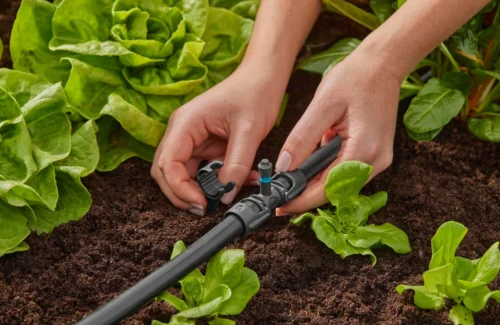 Gardena Micro Drip Systeem T-stuk Voor Sproeiers 13 Mm (1/2 Inch) -Tuinplanten Winkel 4078500058605 3