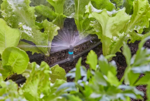 Gardena Micro Drip Systeem T-stuk Voor Sproeiers 13 Mm (1/2 Inch) -Tuinplanten Winkel 4078500058605 9