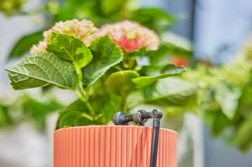 Gardena Micro Drip Systeem Drukcompenserende Einddruppelaar 2 L 16 Gardena Micro Drip Systeem Drukcompenserende Einddruppelaar 2 L -Tuinplanten Winkel 4078500059312 7