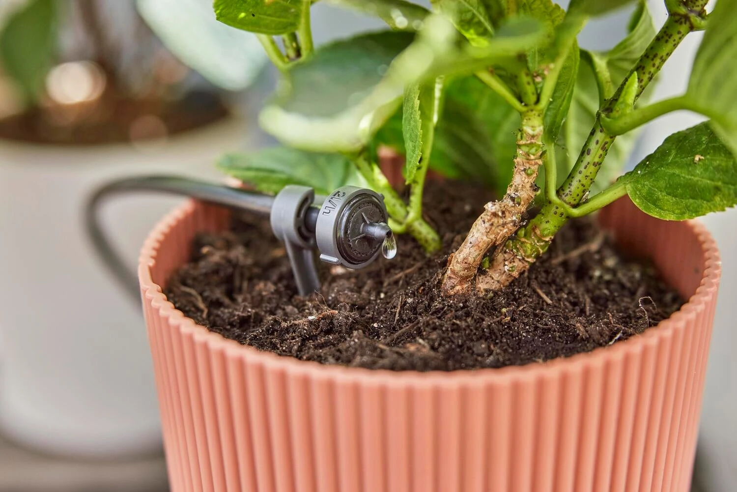 Gardena Micro Drip Systeem Drukcompenserende Einddruppelaar 2 L 10 Gardena Micro Drip Systeem Drukcompenserende Einddruppelaar 2 L - Afbeelding 8