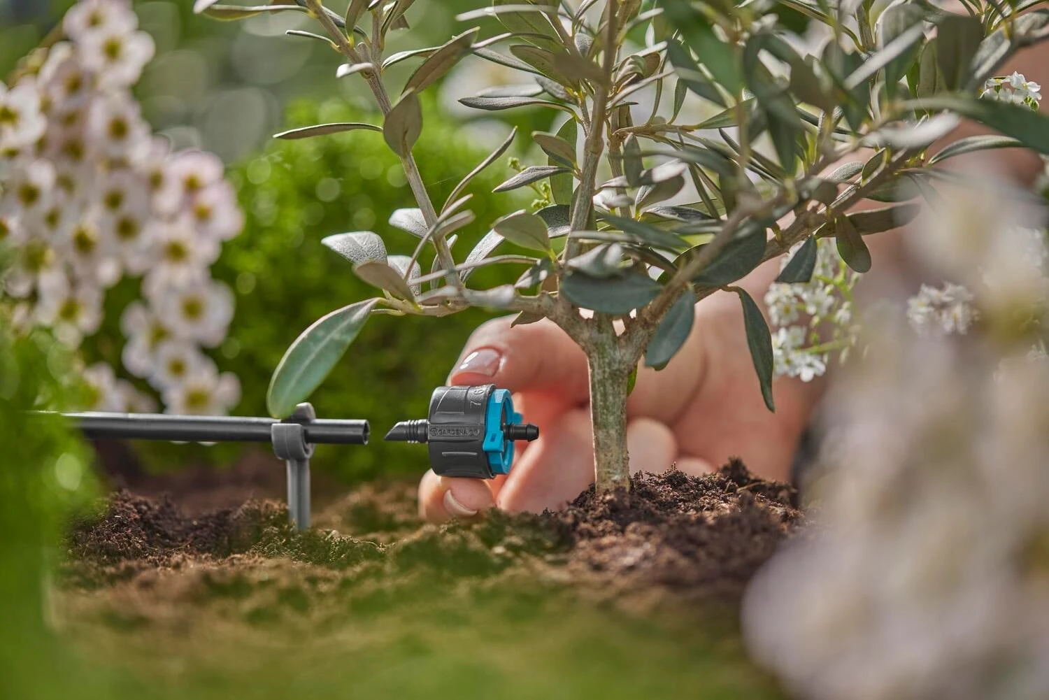 Gardena Micro Drip Systeem Verstelbare Einddruppelaar 1-8 L 7 Gardena Micro Drip Systeem Verstelbare Einddruppelaar 1-8 L - Afbeelding 5