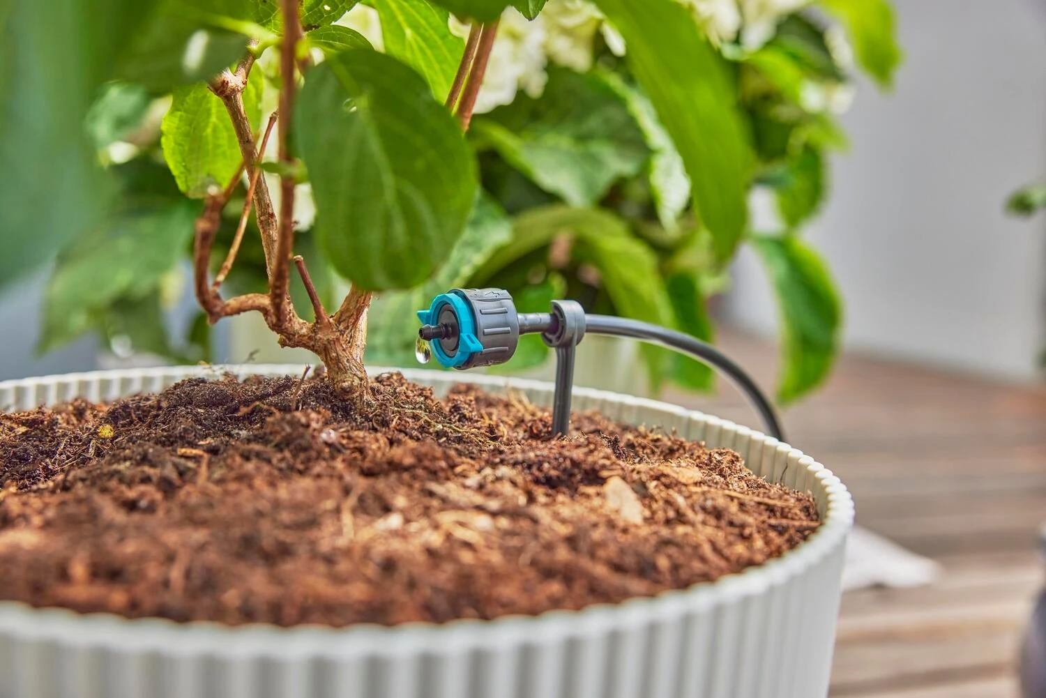 Gardena Micro Drip Systeem Verstelbare Einddruppelaar 1-8 L 9 Gardena Micro Drip Systeem Verstelbare Einddruppelaar 1-8 L - Afbeelding 7