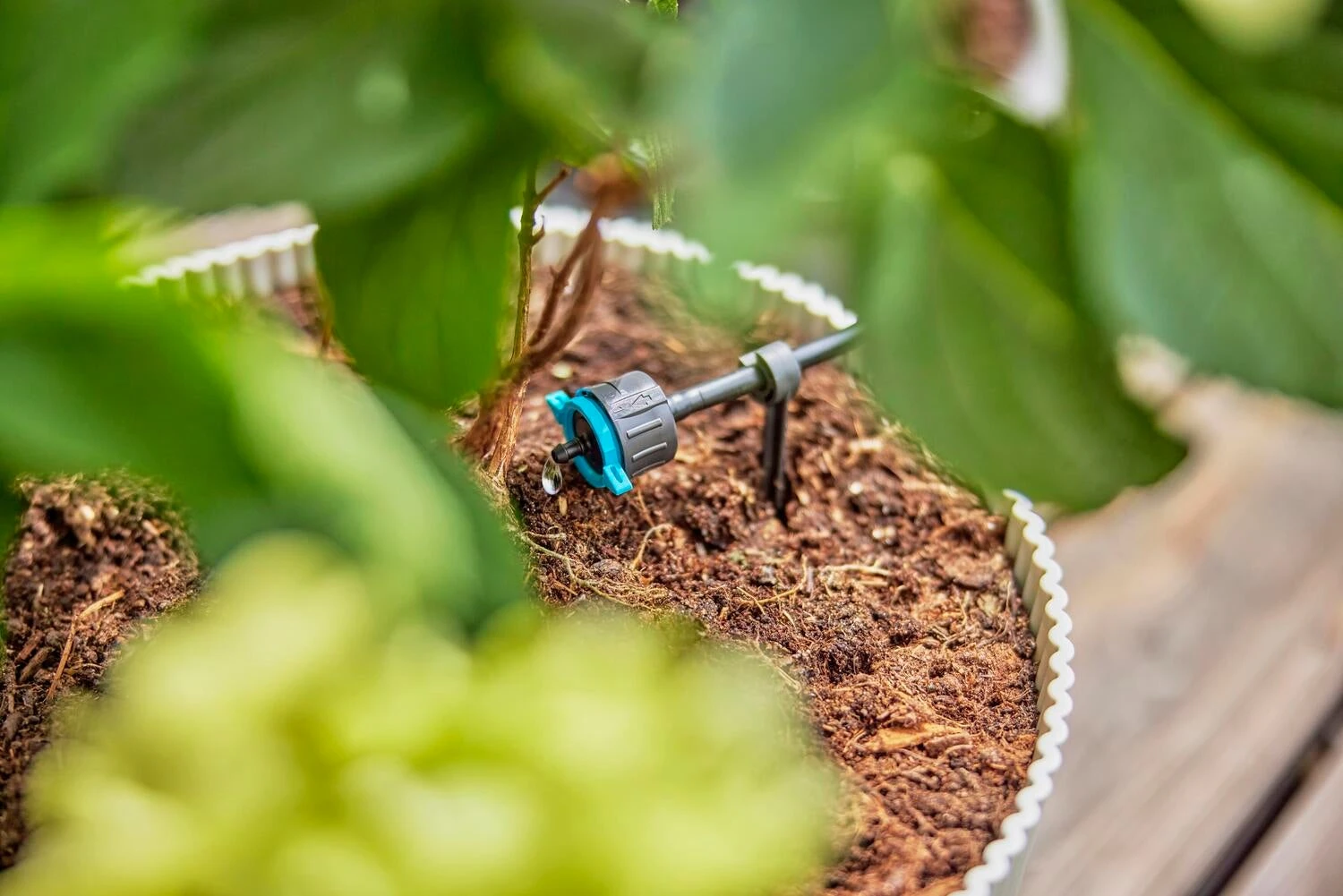 Gardena Micro Drip Systeem Verstelbare Einddruppelaar 1-8 L 10 Gardena Micro Drip Systeem Verstelbare Einddruppelaar 1-8 L - Afbeelding 8