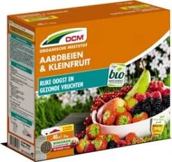 DCM Bio Meststof Aardbeien En Kleinfruit 3 Kg
