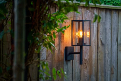 Tuinplanten Winkel -Tuinplanten Winkel 5907800859089 1 1