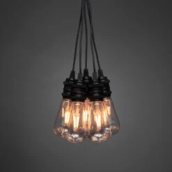 Tuinplanten Winkel -Tuinplanten Winkel 7318302351809 1