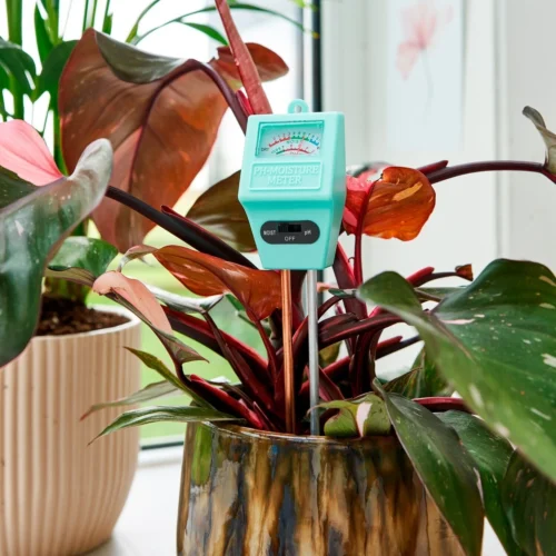 Sogo PH Vochtmeter 18 X 11 X 4 Cm -Tuinplanten Winkel 8711117874706 3