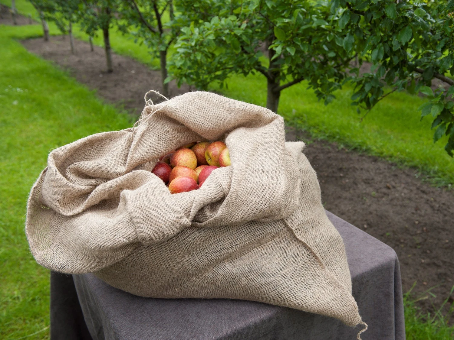 Nature Jutezak Met Aantrekkoord D 40 H 90 Cm 3 Stuks 5 Nature Jutezak Met Aantrekkoord D 40 H 90 Cm 3 Stuks - Afbeelding 3