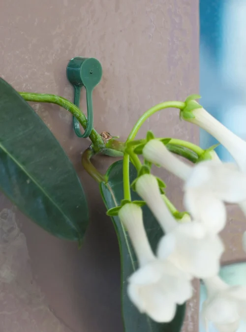 Nature Plantenklemmen Groen 15st -Tuinplanten Winkel 8711338404232 2 1