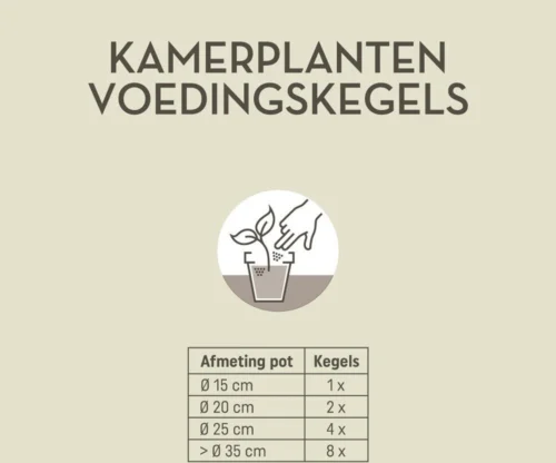 Pokon Kamerplanten Langwerkende Voedingskegels 10st -Tuinplanten Winkel 8711969004412 7
