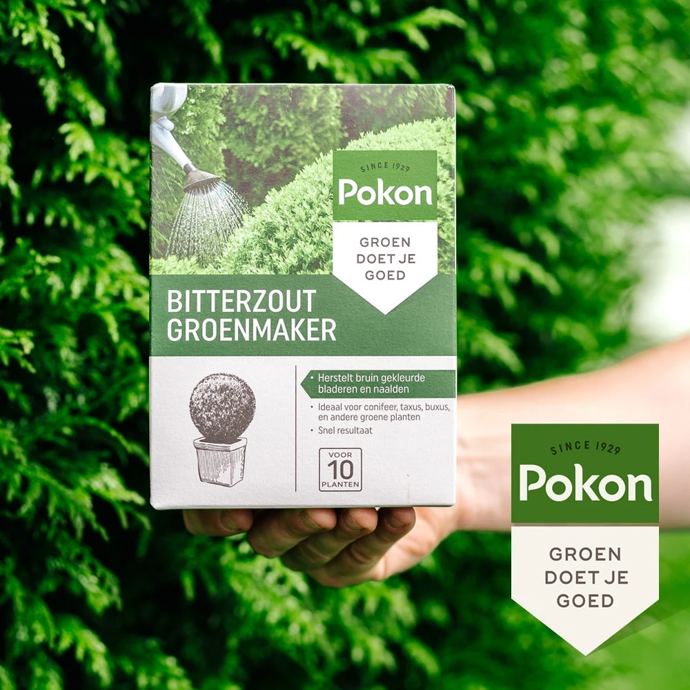 Pokon Bitterzout Groenmaker 500 G 5 Pokon Bitterzout Groenmaker 500 G - Afbeelding 3