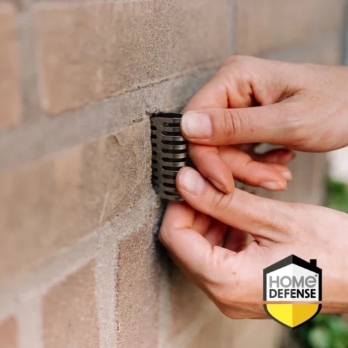 Pokon HD Stootvoegrooster 50 Mm -Tuinplanten Winkel 8711969007888 1