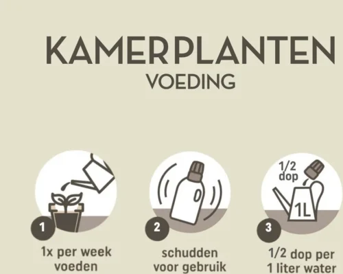 Pokon Kamerplanten Voeding 1 L 11 Pokon Kamerplanten Voeding 1 L -Tuinplanten Winkel 8711969044944 5