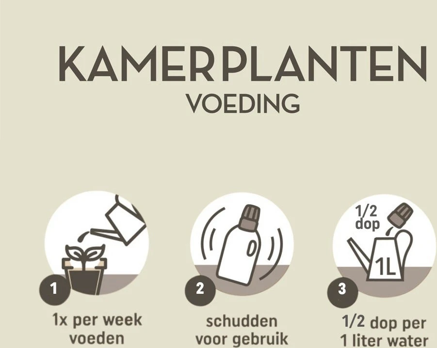 Pokon Kamerplanten Voeding 1 L 7 Pokon Kamerplanten Voeding 1 L - Afbeelding 5