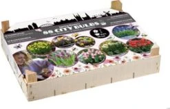 Florex Big Box Bloembollen Stads-bollen 88 Stuks