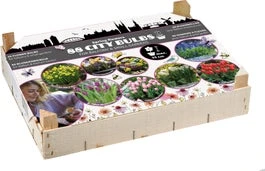 Florex Big Box Bloembollen Stads-bollen 88 Stuks 3 Florex Big Box Bloembollen Stads-bollen 88 Stuks