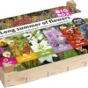 Big Box Long Summer Of Flowers 25 X 30 X 15 Cm 1 Big Box Long Summer Of Flowers 25 X 30 X 15 Cm -Tuinplanten Winkel 8713339117319