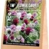 Florex Bloembollen 1M² Bloementapijt Fantasy Flavours 25 Stuks 1 Florex Bloembollen 1M² Bloementapijt Fantasy Flavours 25 Stuks -Tuinplanten Winkel 8713339139830