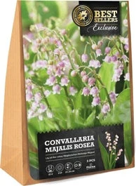 Florex Roze Lelietje Van Dalen Knol (Convallaria Majalis 'Rosea') 3 Stuks