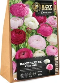 Florex Ranonkel Knol Mix (Ranunculus 'Pink') 15 Stuks