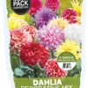 Florex Bloembollen Zaaddahlia Decorative Verassingsmix 8 St 1 Florex Bloembollen Zaaddahlia Decorative Verassingsmix 8 St -Tuinplanten Winkel 8713339979016 0 4