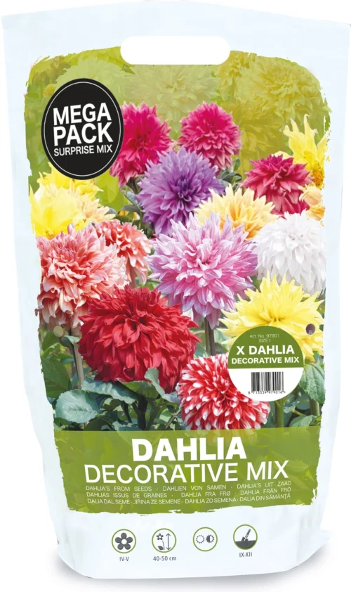 Florex Bloembollen Zaaddahlia Decorative Verassingsmix 8 St