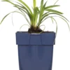 Leliegras (Liriope Muscari 'Ingwersen') D 11 H 10 Cm 2 Leliegras (Liriope Muscari 'Ingwersen') D 11 H 10 Cm -Tuinplanten Winkel 8713469546706 1