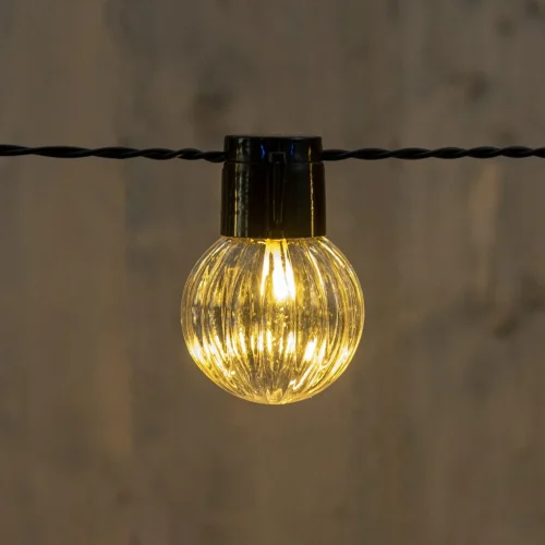 Anna's Collection Verlichtingssnoer Transparant 10 M 20 Stuks -Tuinplanten Winkel 8713619427770 2