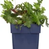 Ooievaarsbek (Geranium 'Azure Rush') D 11 H 10 Cm 1 Ooievaarsbek (Geranium 'Azure Rush') D 11 H 10 Cm -Tuinplanten Winkel 8717191507325