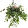Lipstickplant In Hangpot (Aeschynanthus Marmoratus) D 15 H 25 Cm