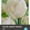 Intratuin Bloembollen Tulp (Tulipa 'Mount Tacoma') 10 Stuks -Tuinplanten Winkel 8717263341192 1 1