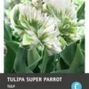 Intratuin Bloembollen Tulp (Tulipa 'Super Parrot') 10 Stuks 1 Intratuin Bloembollen Tulp (Tulipa 'Super Parrot') 10 Stuks -Tuinplanten Winkel 8717263341291 1 1 1