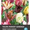 Intratuin Bloembollen Parkiettulp (Tulipa 'Parrot') Gemengd 10 Stuks -Tuinplanten Winkel 8717263341307 1 1 1