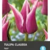 Intratuin Bloembollen Tulp (Tulipa 'Claudia') 10 Stuks -Tuinplanten Winkel 8717263341314 1 1