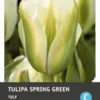 Intratuin Bloembollen Tulp (Tulipa 'Spring Green') 7 Stuks 1 Intratuin Bloembollen Tulp (Tulipa 'Spring Green') 7 Stuks -Tuinplanten Winkel 8717263341383 1 1
