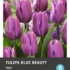 Intratuin Bloembollen Tulp (Tulipa 'Blue Beauty') 10 Stuks -Tuinplanten Winkel 8717263341505 1 1