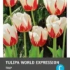 Intratuin Bloembollen Tulp (Tulipa 'World Expression') 10 Stuks 1 Intratuin Bloembollen Tulp (Tulipa 'World Expression') 10 Stuks -Tuinplanten Winkel 8717263341543 1 1